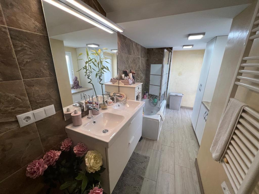 Duplex Centro/Playa Lägenhet Sanlúcar de Barrameda Exteriör bild